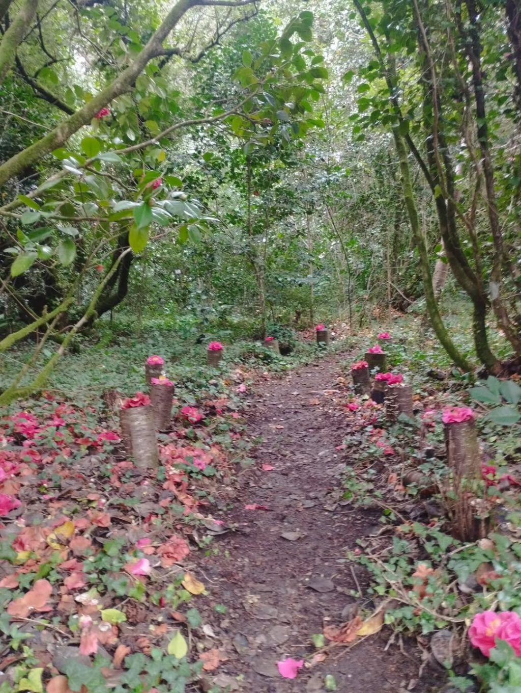 Instagram post from potirincon. This post is in position 6.