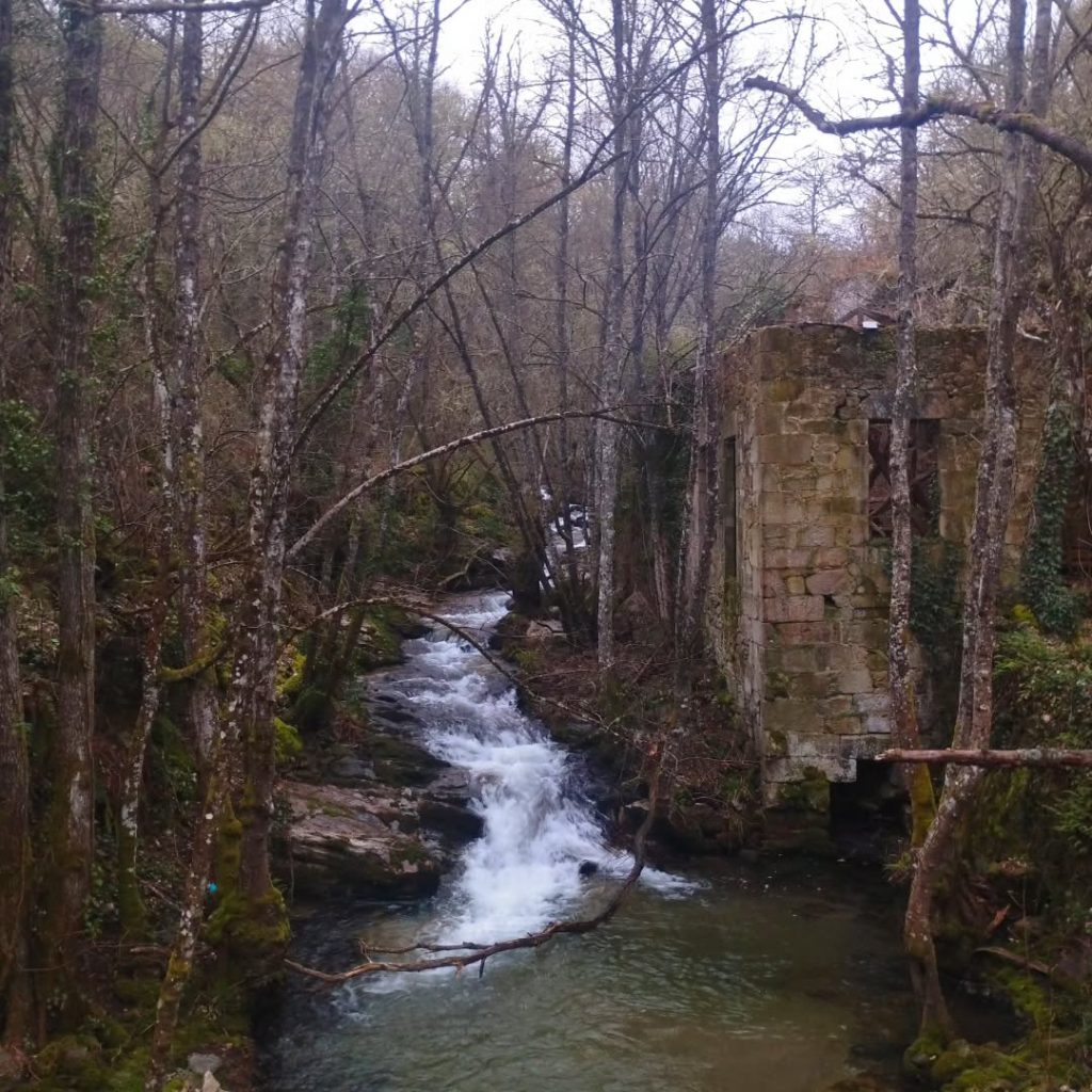 Instagram post from potirincon. This post is in position 1.