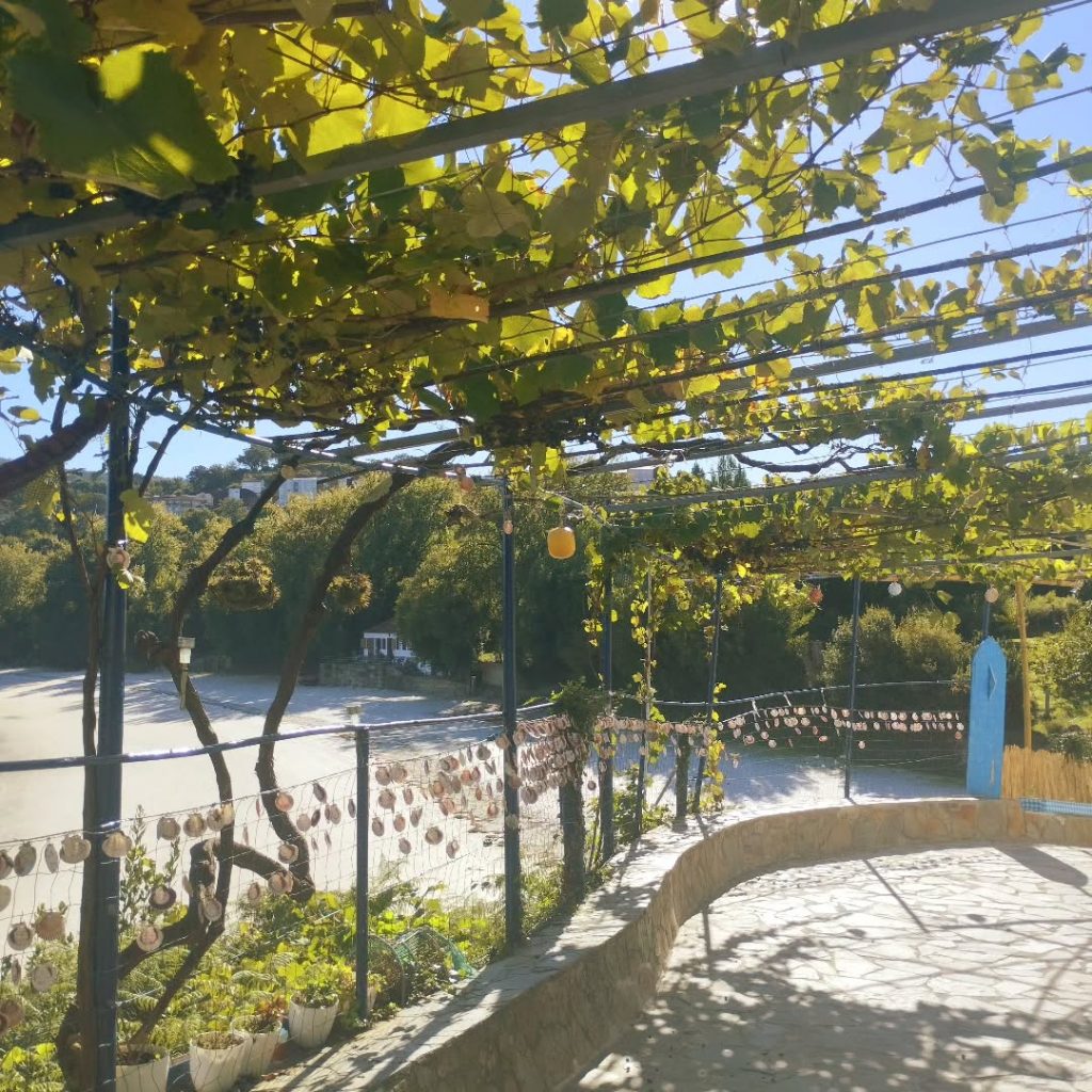 Instagram post from potirincon. This post is in position 5.