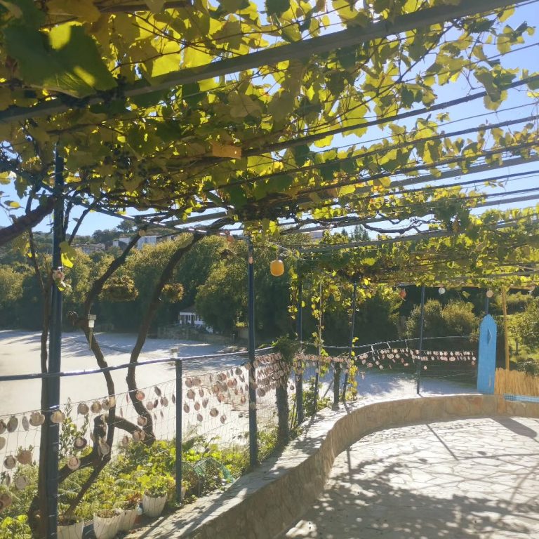 Instagram post from potirincon. This post is in position 6.