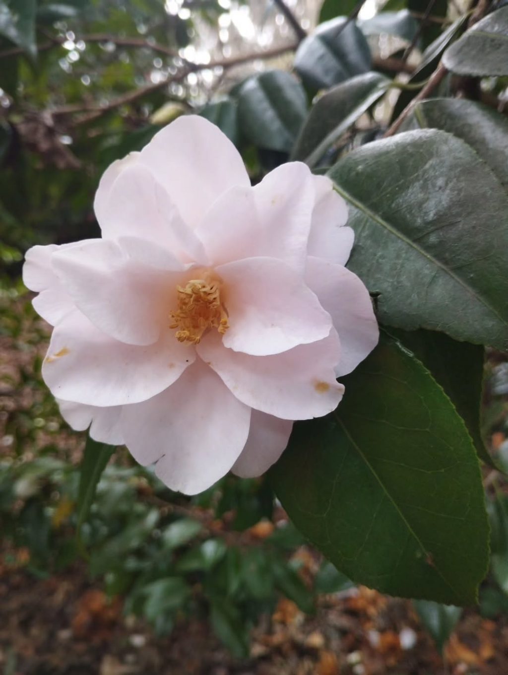 Instagram post from potirincon. This post is in position 8.