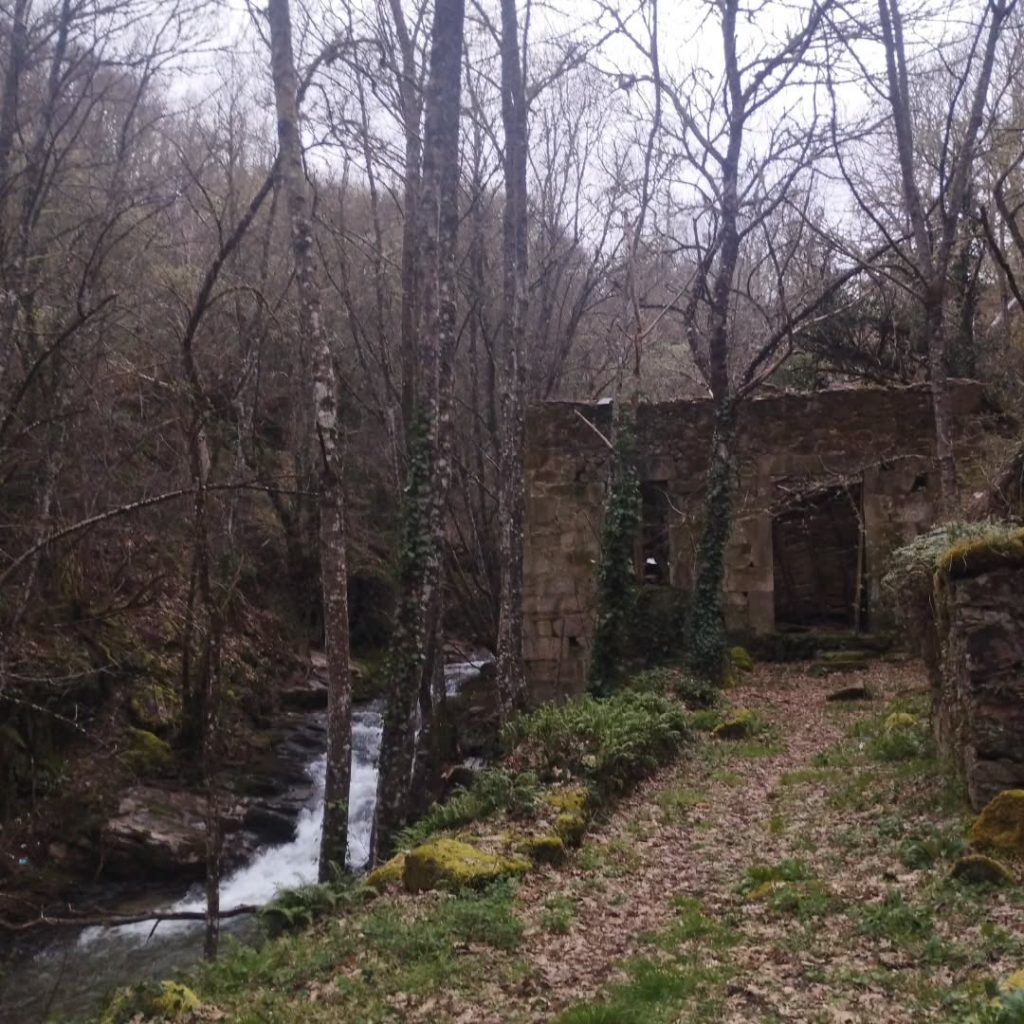 Instagram post from potirincon. This post is in position 3.