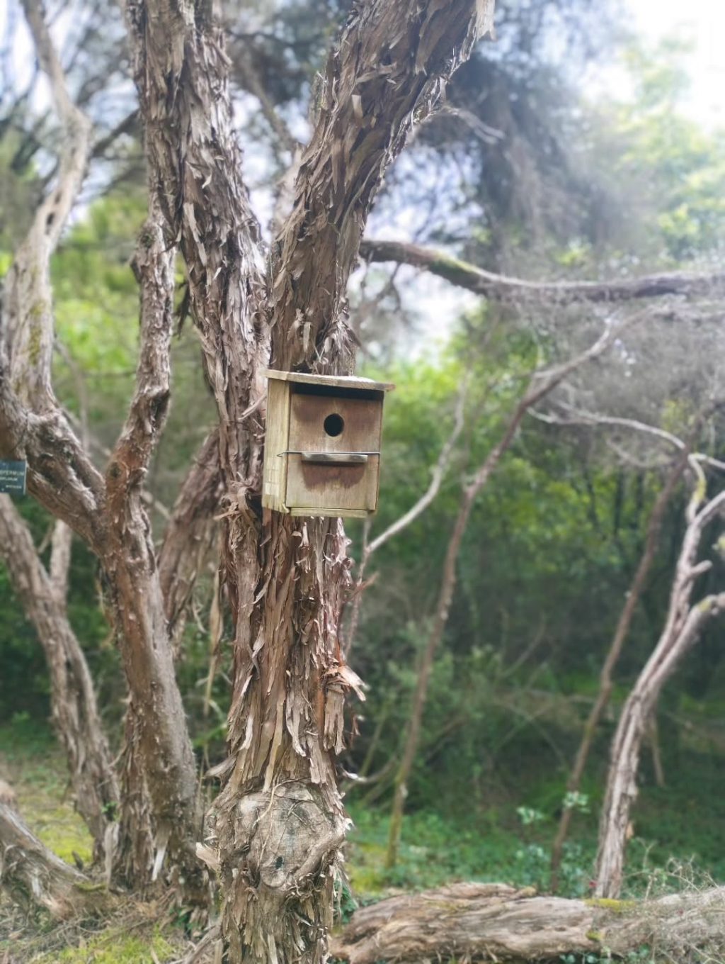 Instagram post from potirincon. This post is in position 4.