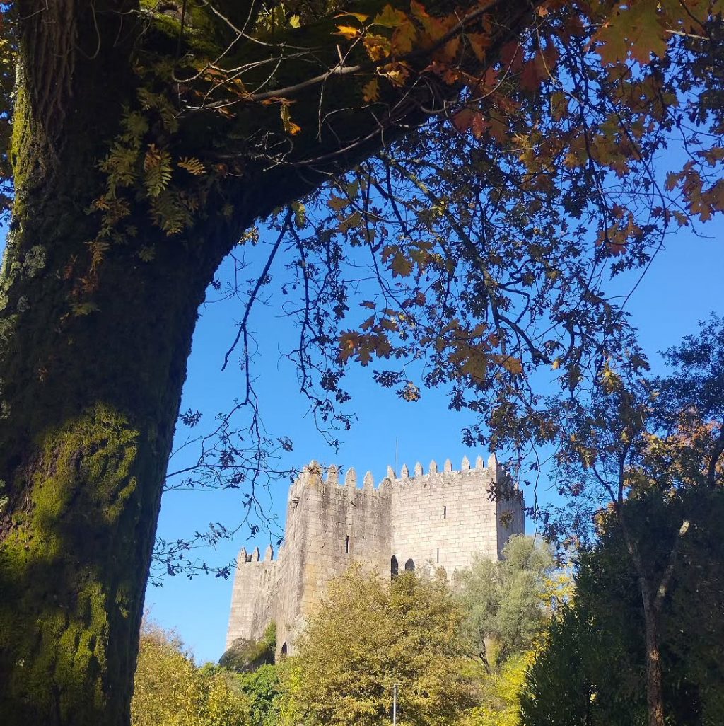 Instagram post from potirincon. This post is in position 1.