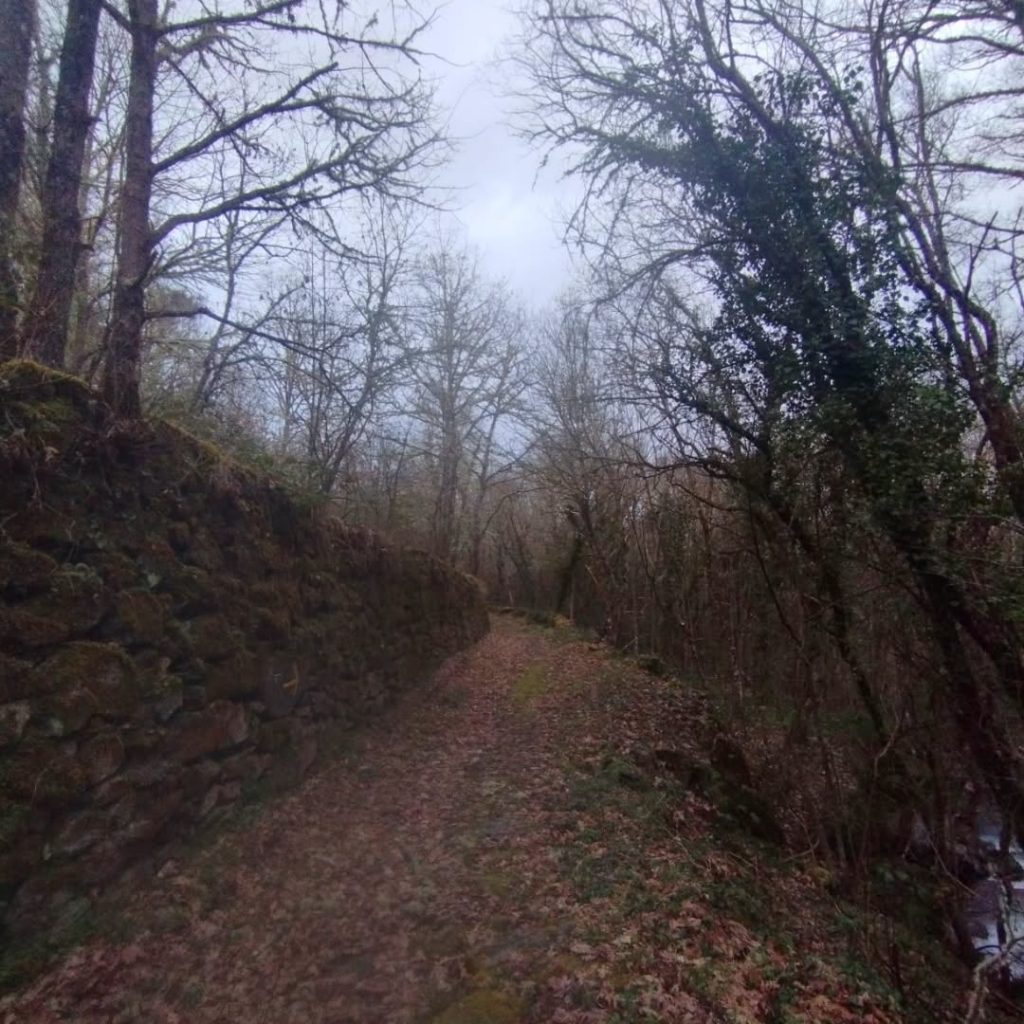 Instagram post from potirincon. This post is in position 6.