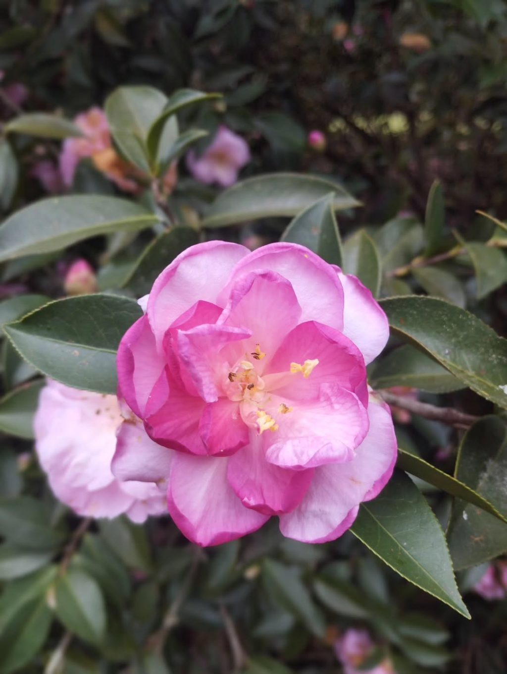 Instagram post from potirincon. This post is in position 9.