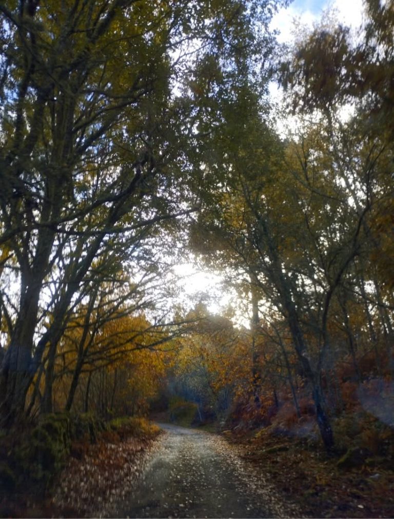 Instagram post from potirincon. This post is in position 1.