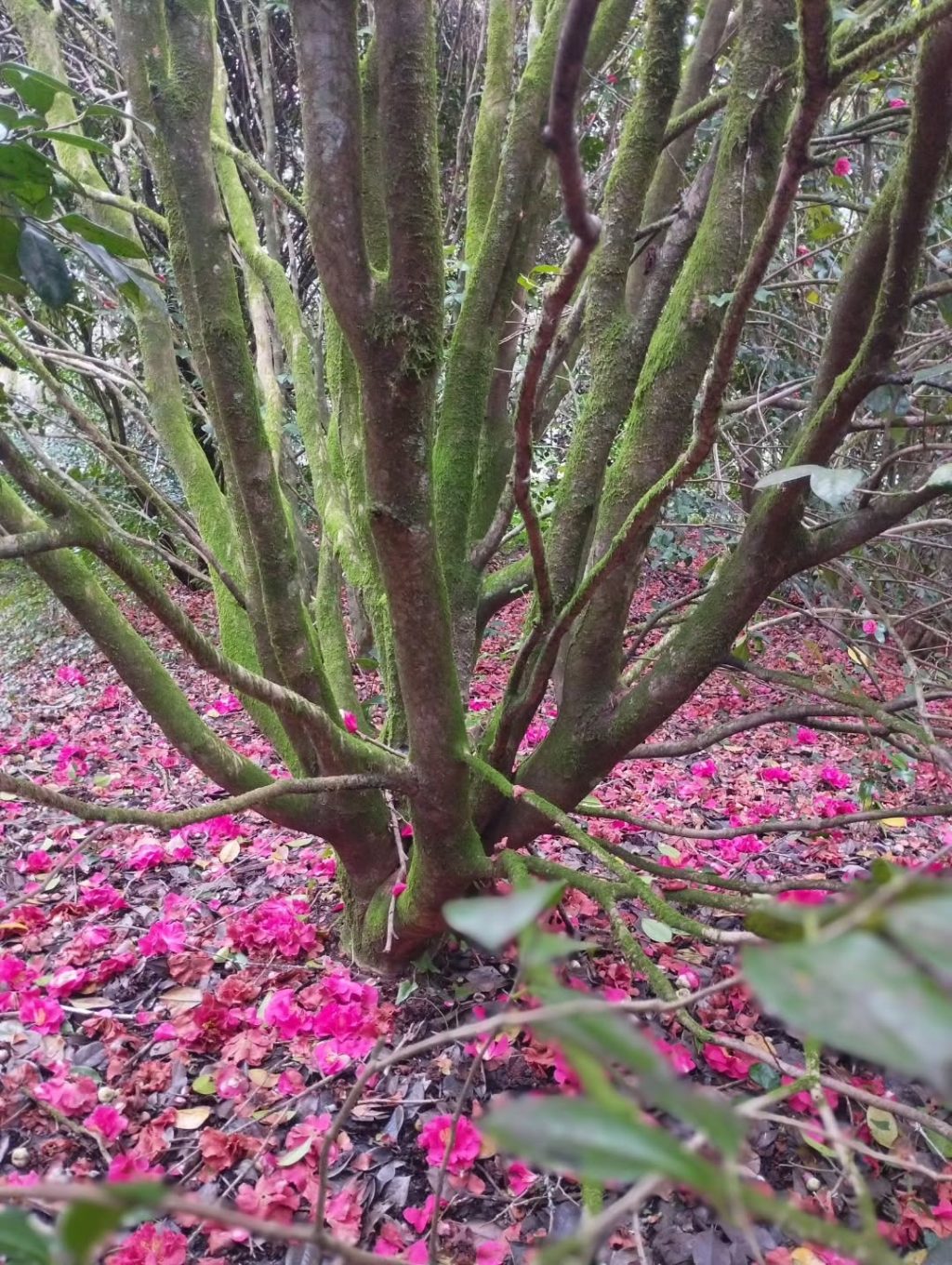 Instagram post from potirincon. This post is in position 2.