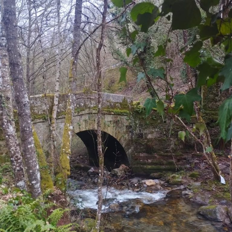 Instagram post from potirincon. This post is in position 4.