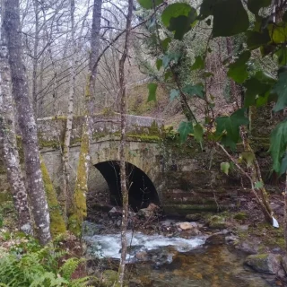 Instagram post from potirincon. This post is in position 9.