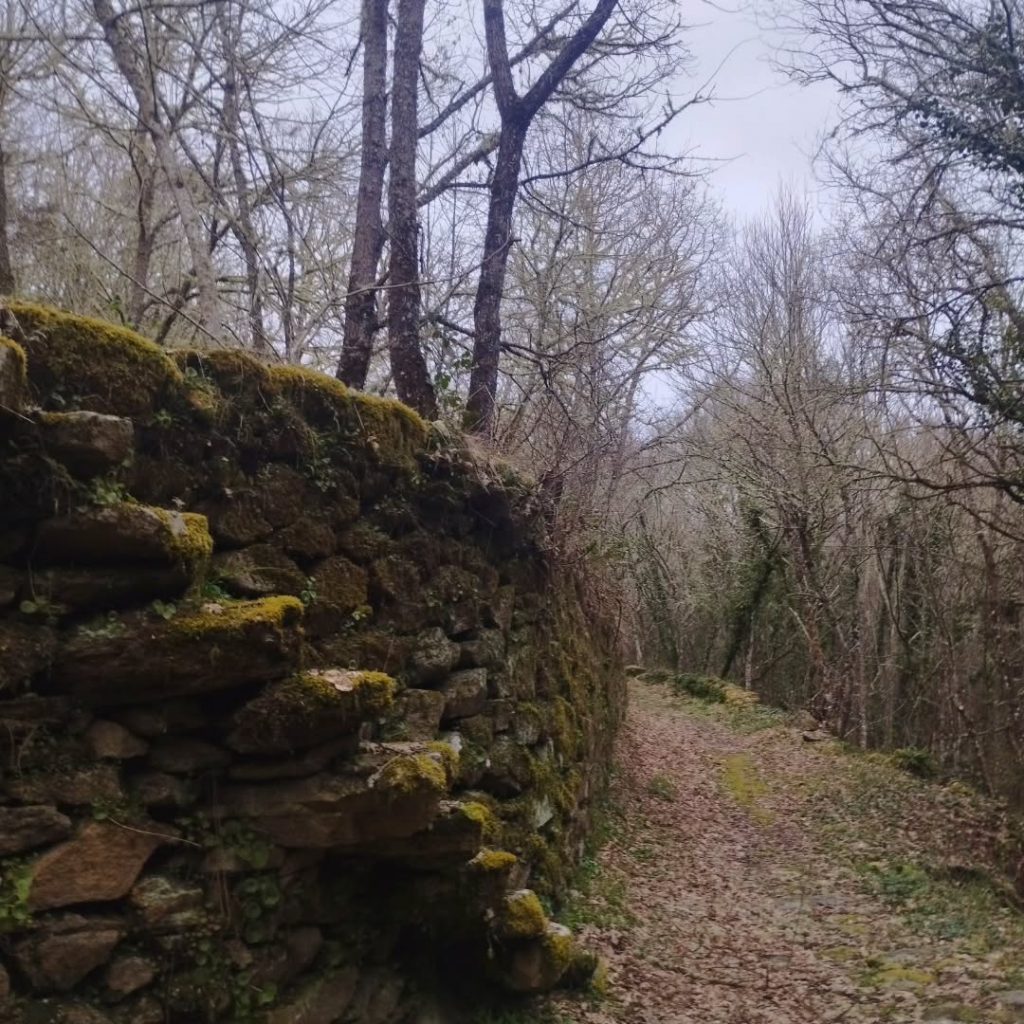 Instagram post from potirincon. This post is in position 2.