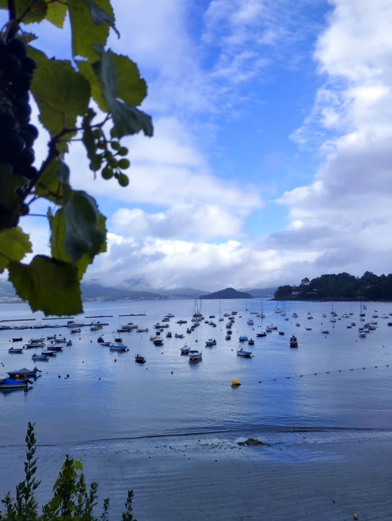 Instagram post from potirincon. This post is in position 8.