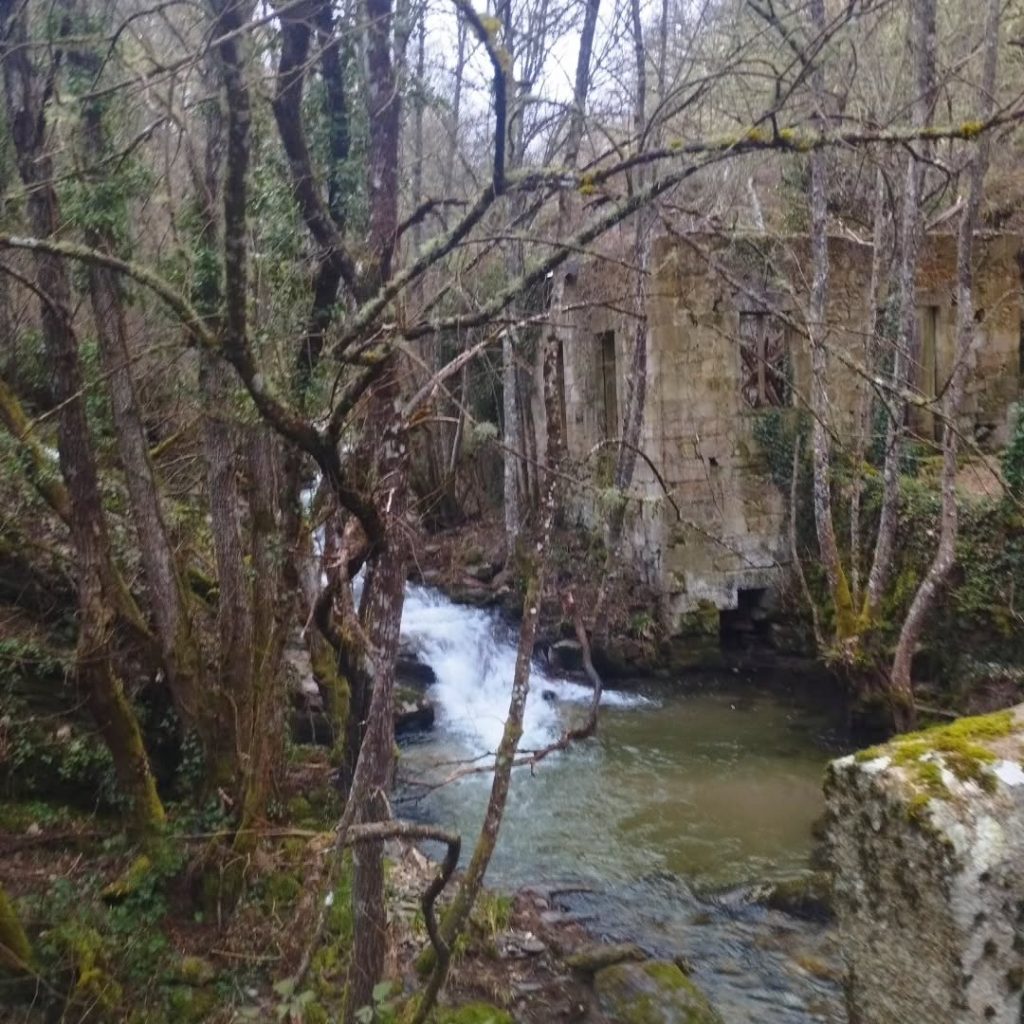 Instagram post from potirincon. This post is in position 4.