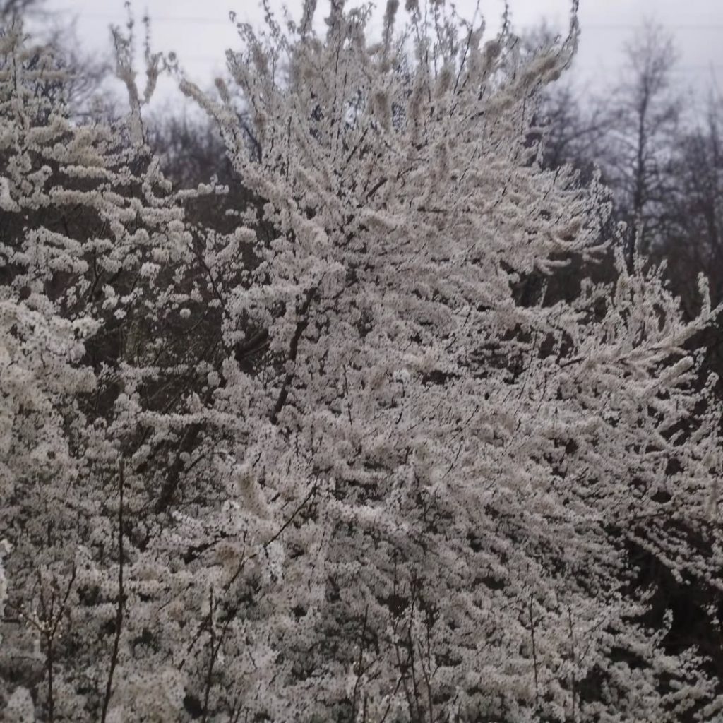 Instagram post from potirincon. This post is in position 9.