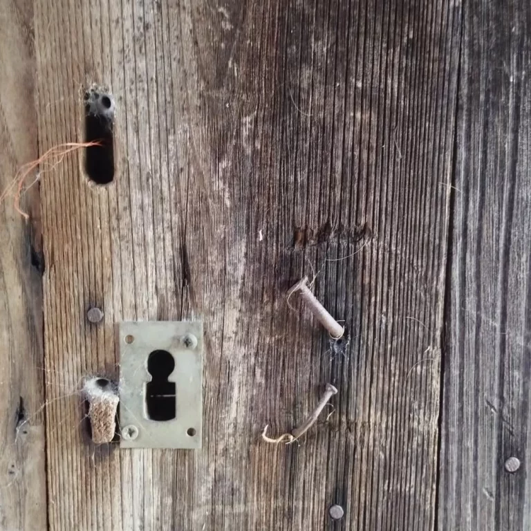 Instagram post from potirincon. This post is in position 8.