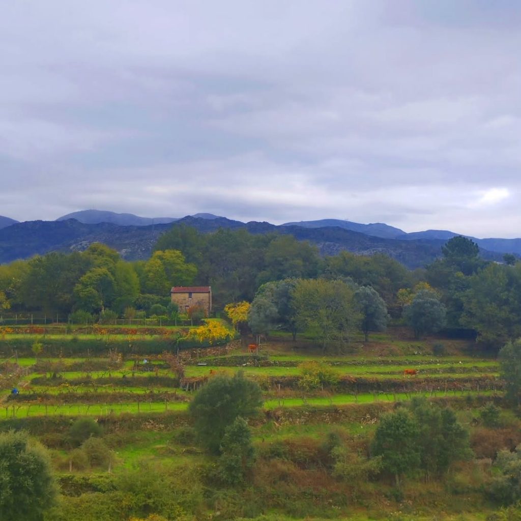 Instagram post from potirincon. This post is in position 4.