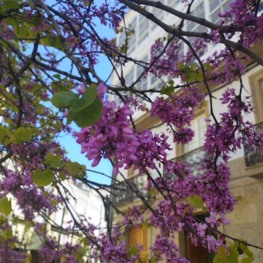 Instagram post from potirincon. This post is in position 9.