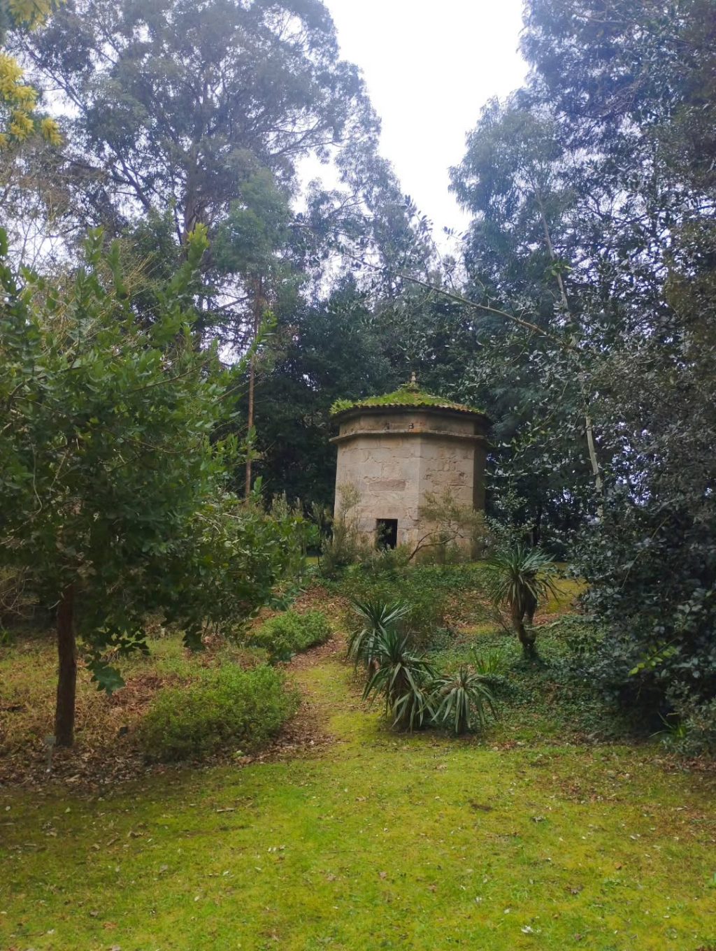 Instagram post from potirincon. This post is in position 5.