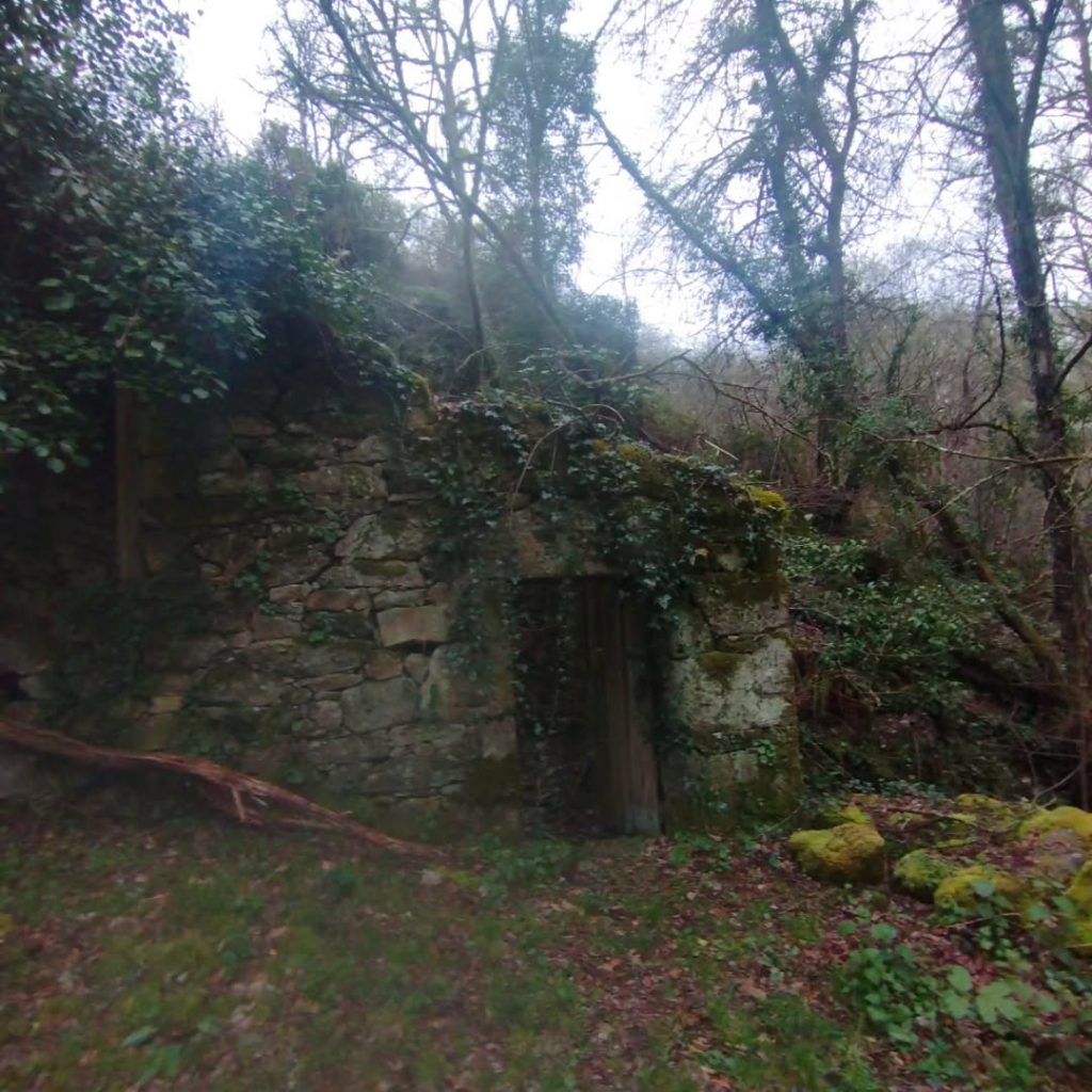 Instagram post from potirincon. This post is in position 7.